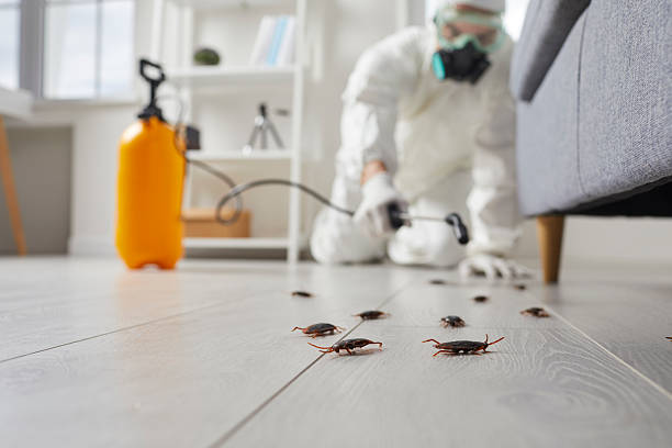 Trusted Termite Control service in Spring Lake Park, MN - Nex Pest Control